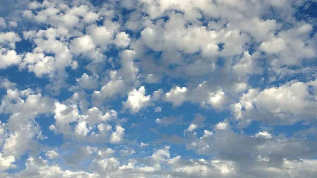 Meteoroloji'den çok kritik uyarı: Bu bölgelerde zehirlenme tehlikesi yaşanabilir! 5 GÜNLÜK HARİTALI HAVA TAHMİN RAPORU 9